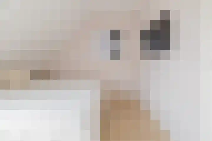 Zilverstein 16 Oegstgeest thumbnail 33
