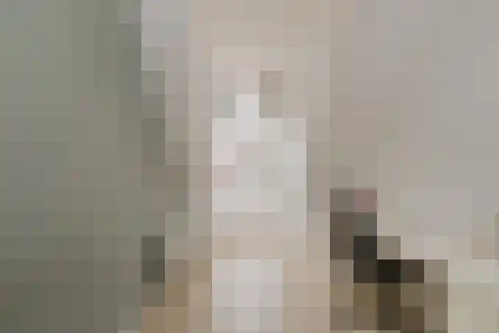 Zilverstein 16 Oegstgeest thumbnail 35