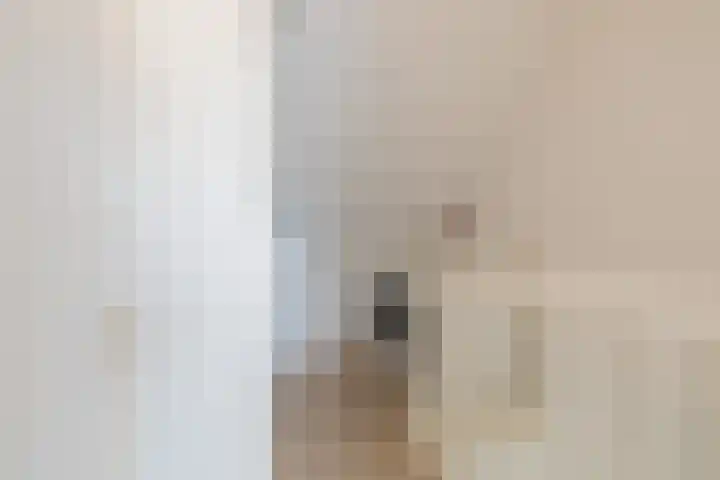 Zilverstein 16 Oegstgeest thumbnail 37
