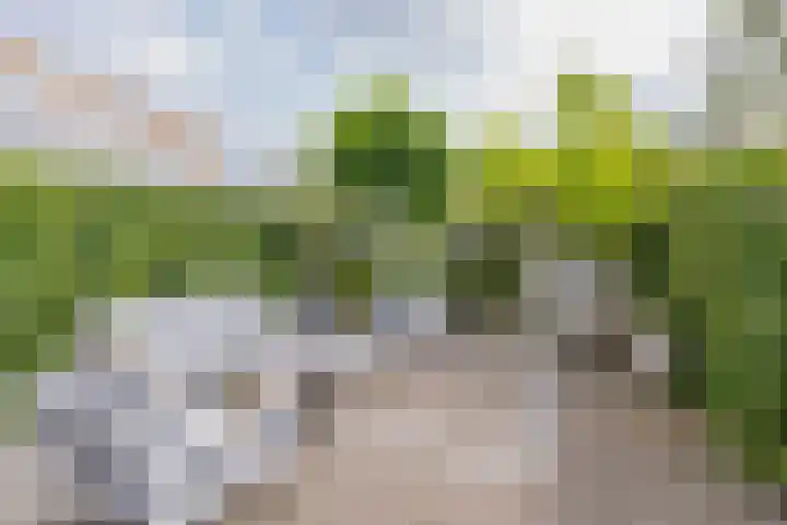 Zilverstein 16 Oegstgeest thumbnail 38