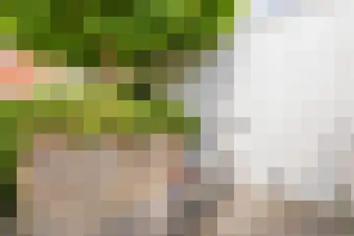 Zilverstein 16 Oegstgeest thumbnail 41