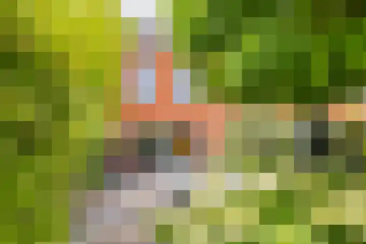 Zilverstein 16 Oegstgeest thumbnail 42