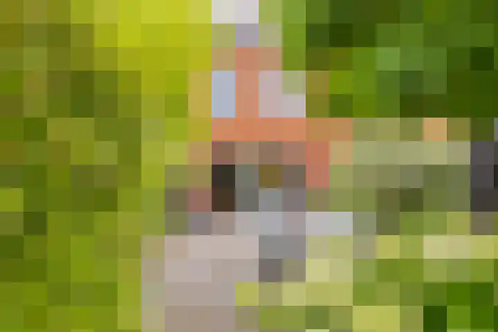 Zilverstein 16 Oegstgeest thumbnail 43