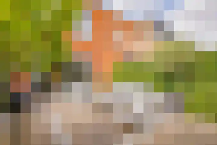 Zilverstein 16 Oegstgeest thumbnail 44