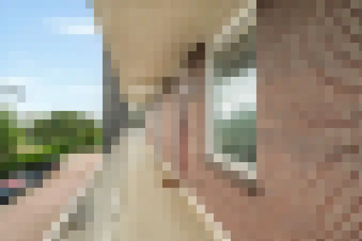 Zilverstein 99 Oegstgeest thumbnail 10