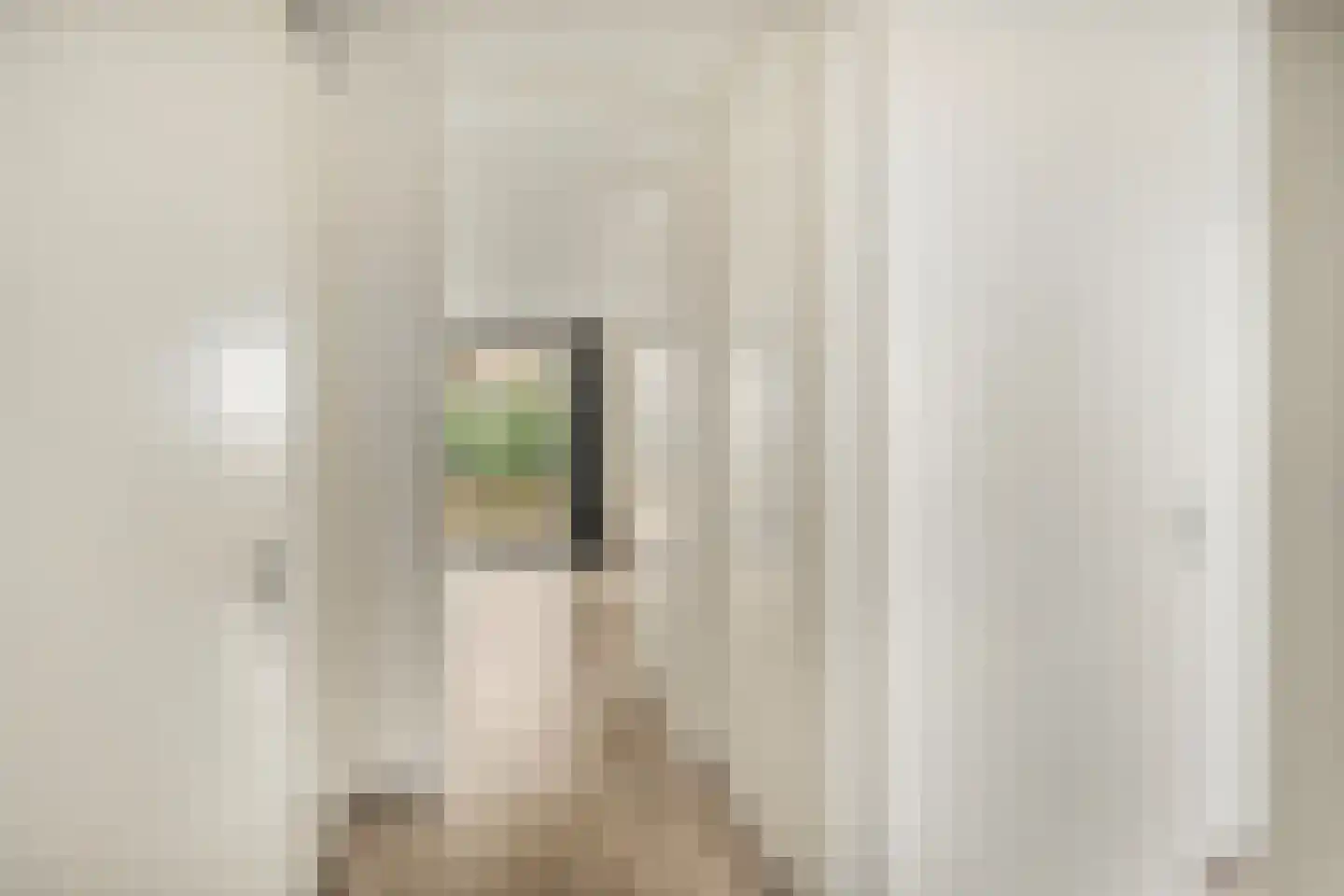 Zilverstein 99 Oegstgeest thumbnail 14