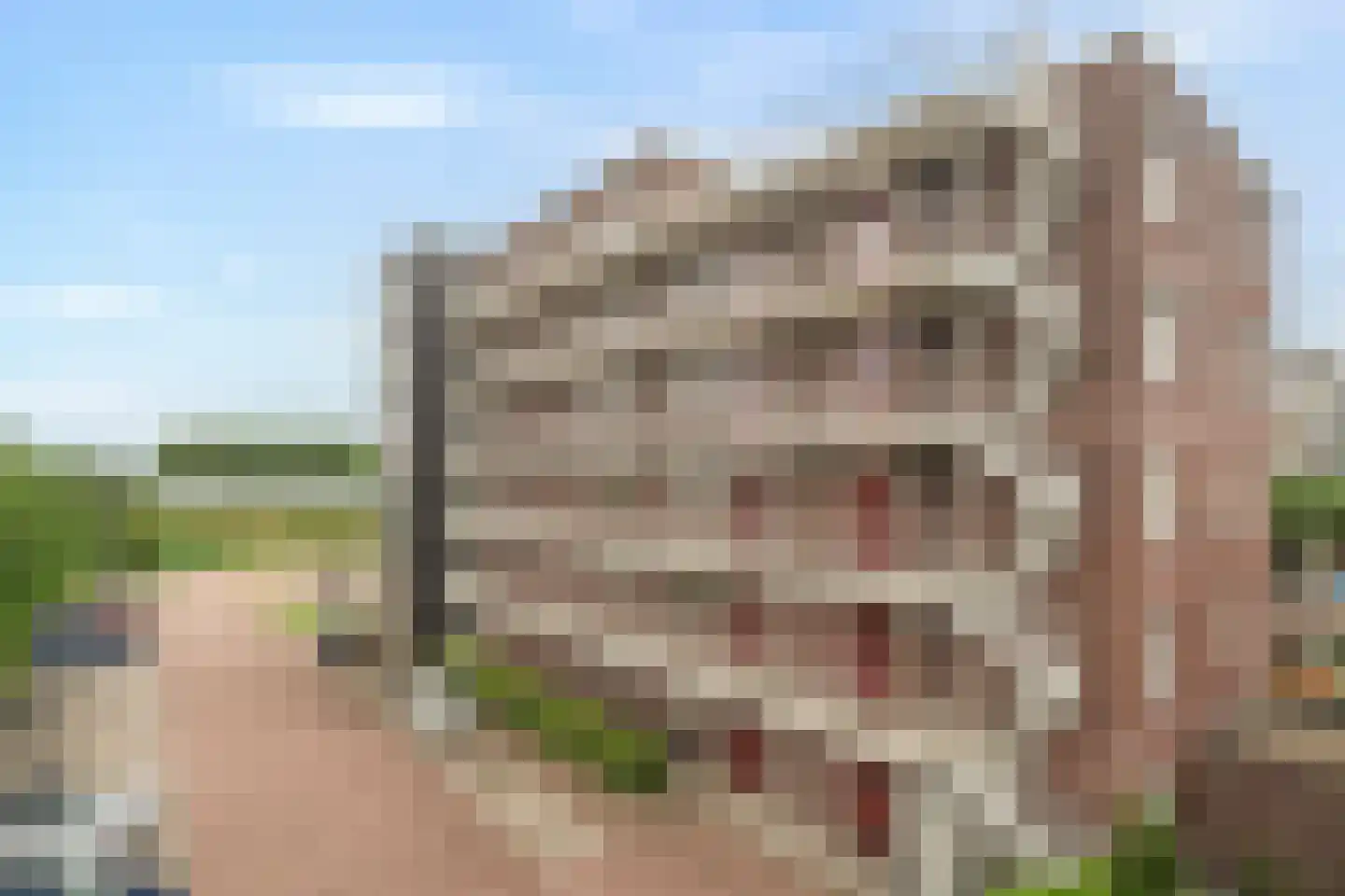 Zilverstein 99 Oegstgeest thumbnail 31