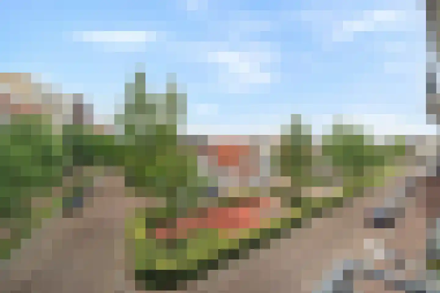 Zilverstein 99 Oegstgeest thumbnail 33