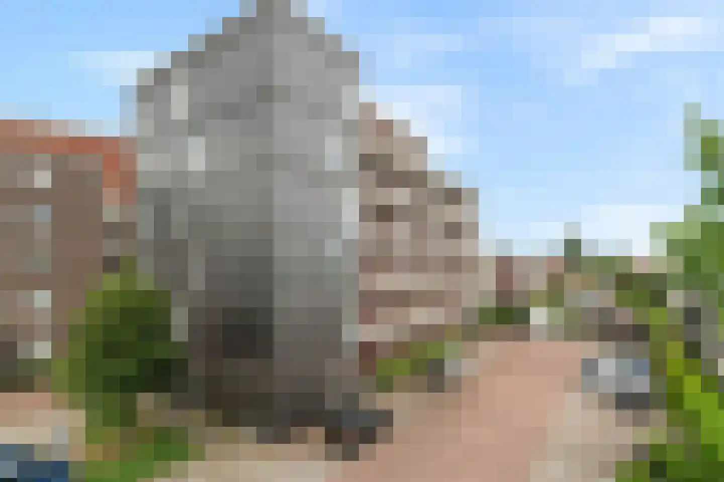 Zilverstein 99 Oegstgeest thumbnail 35
