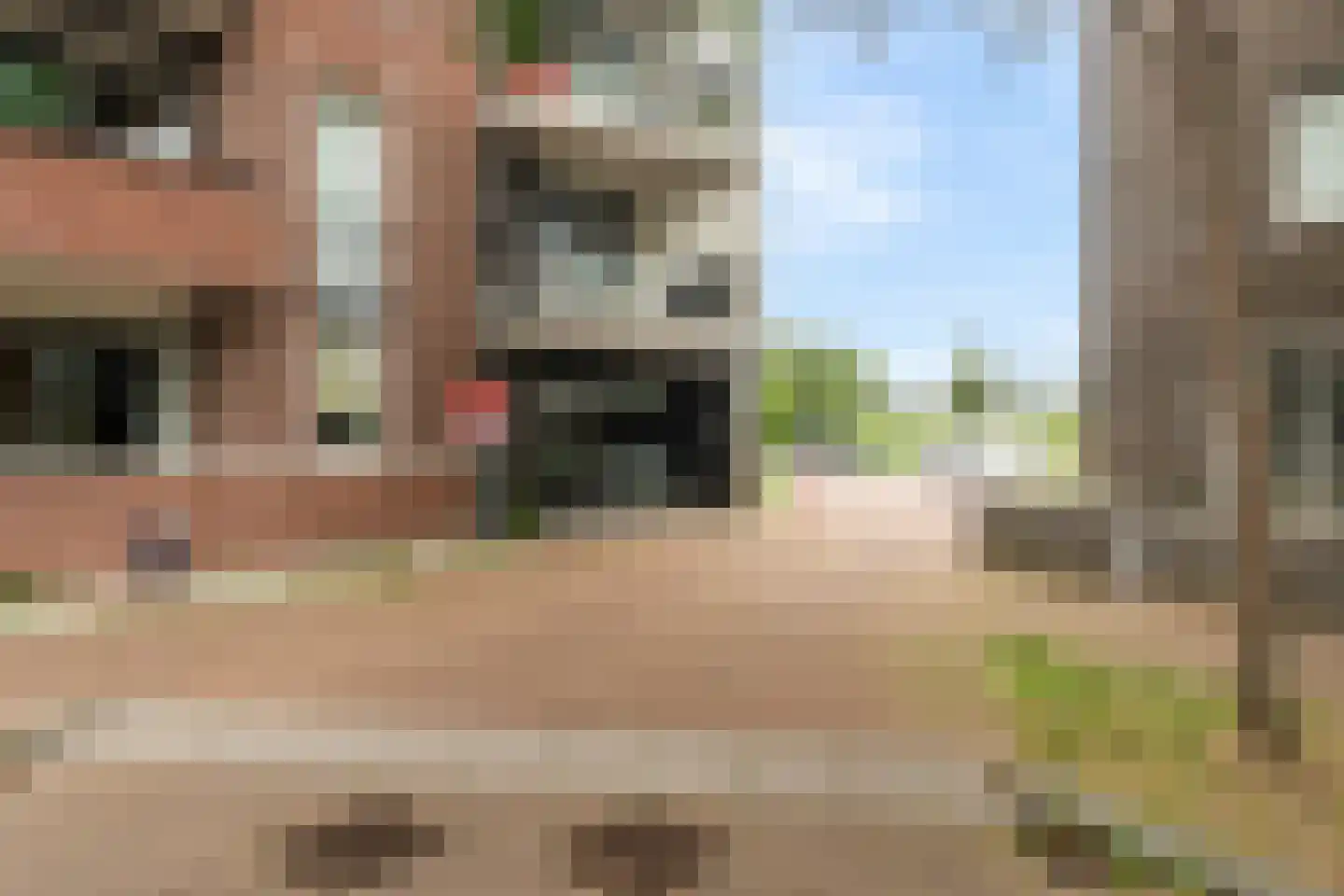 Zilverstein 99 Oegstgeest thumbnail 6