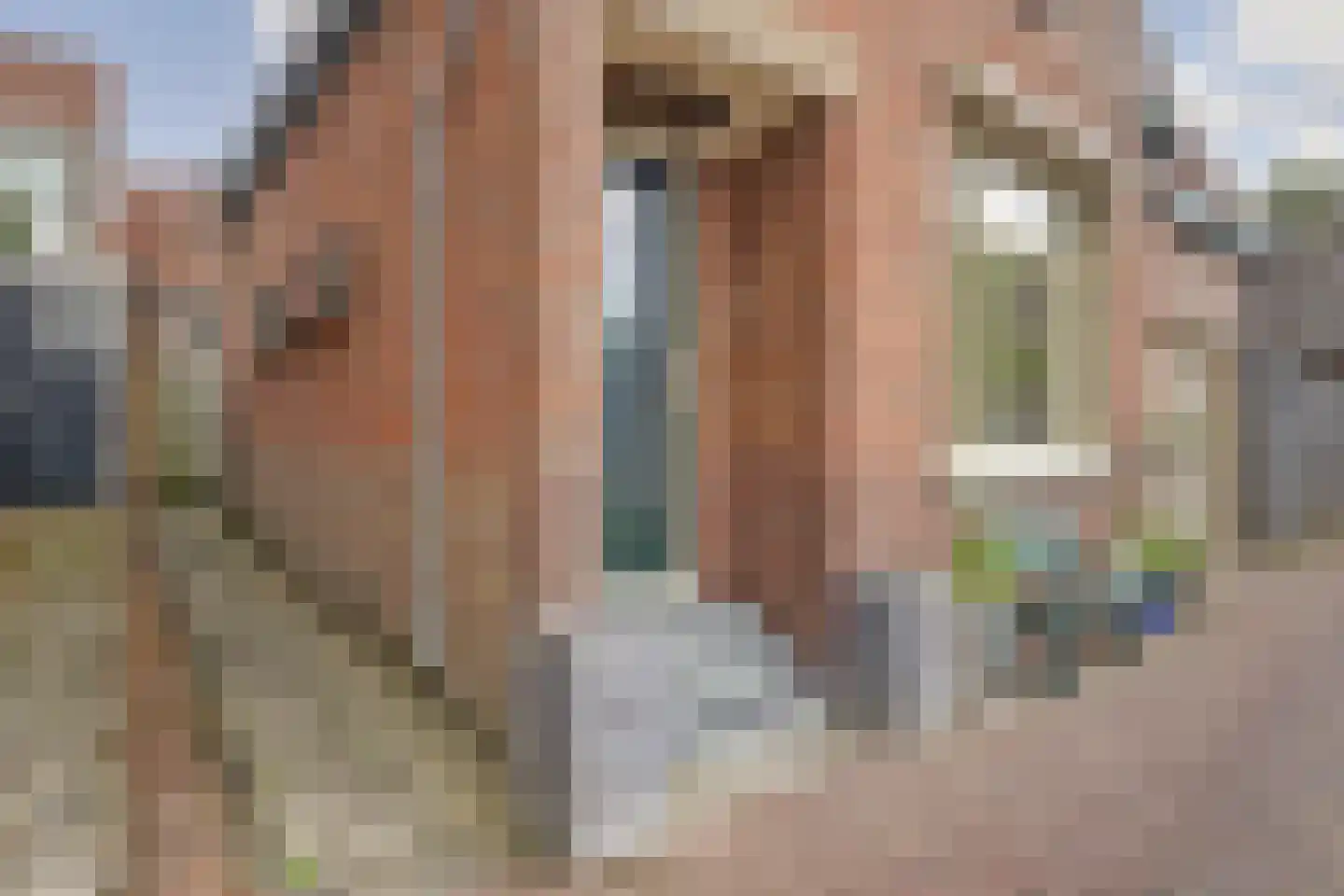 Zilverstraat 1 Enkhuizen thumbnail 32