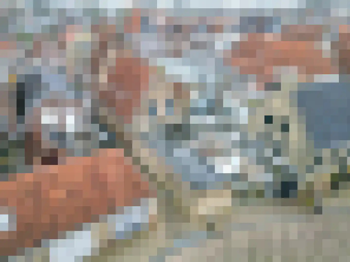Zilverstraat 1 Franeker thumbnail 13