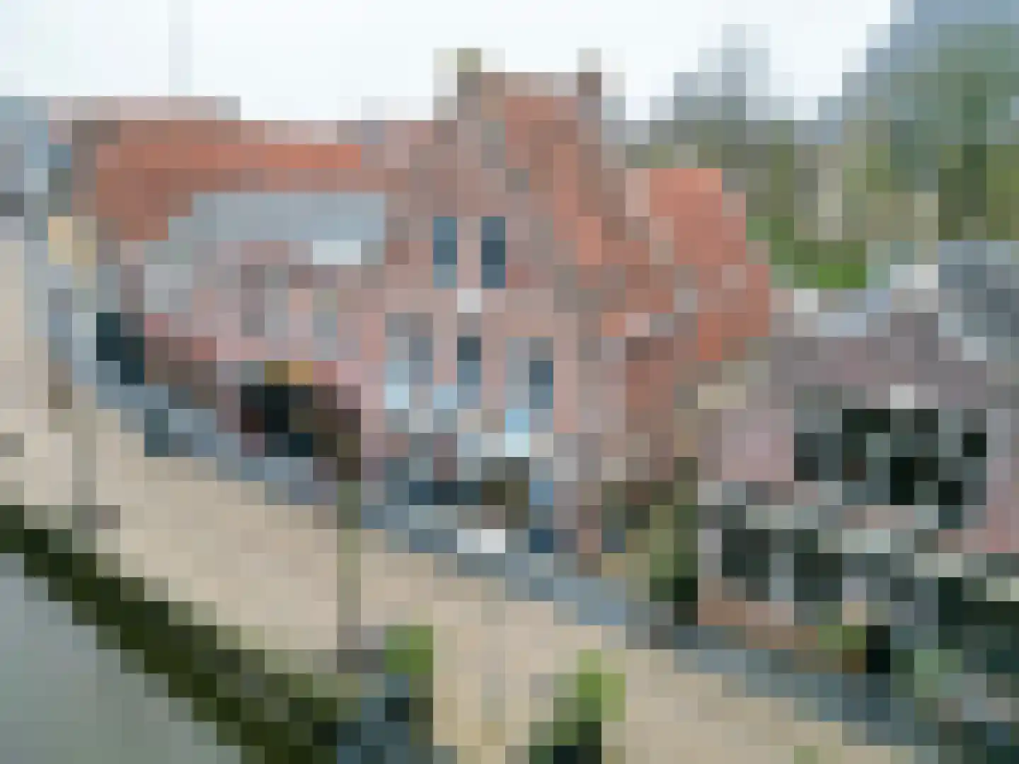 Zilverstraat 1 Franeker thumbnail 14