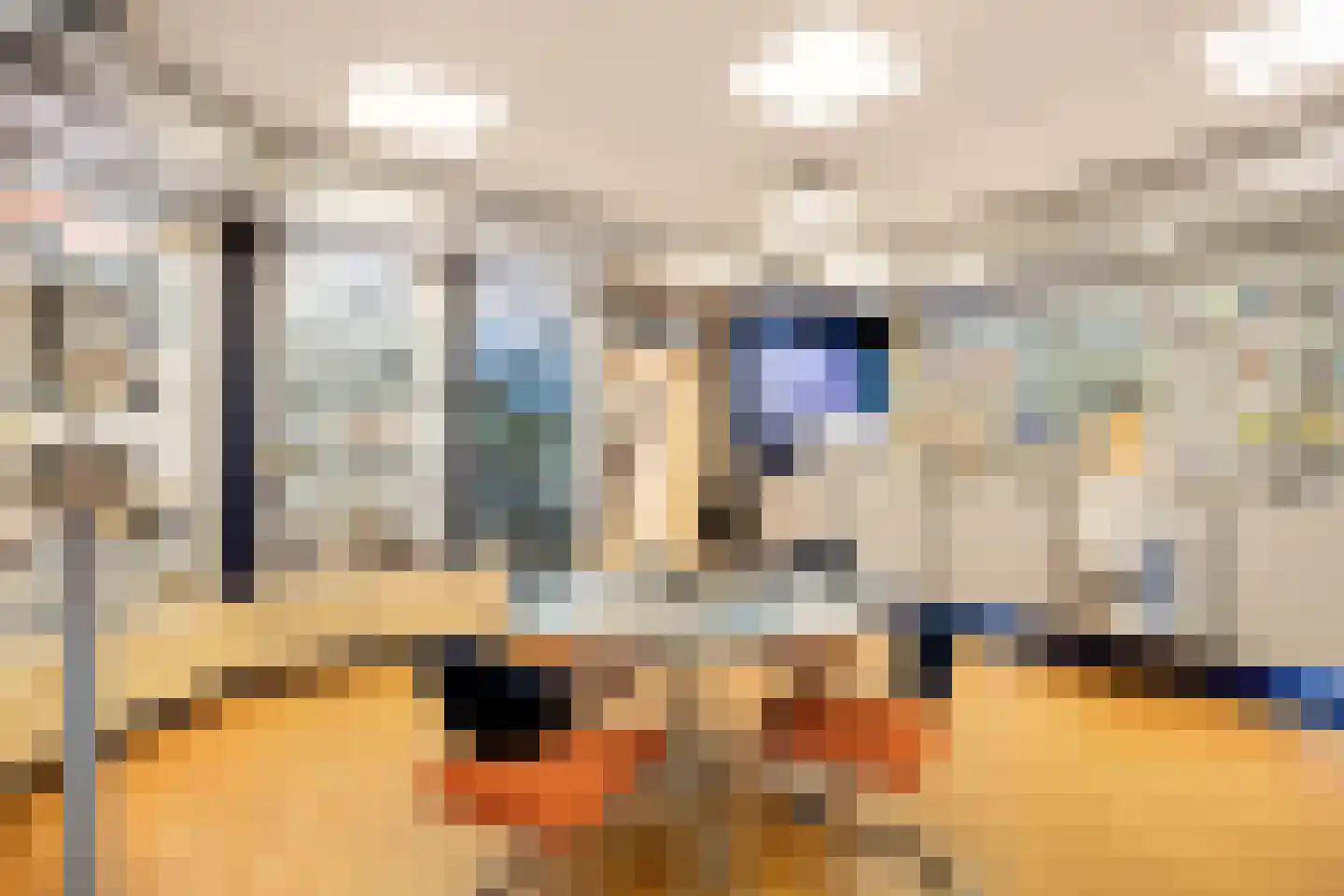 Zilverstraat 1 Franeker thumbnail 22