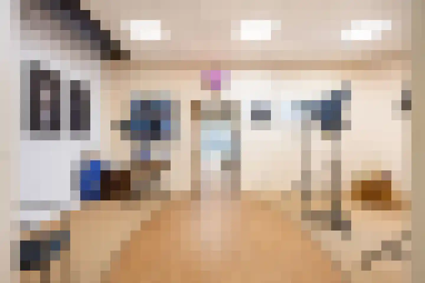 Zilverstraat 1 Franeker thumbnail 25