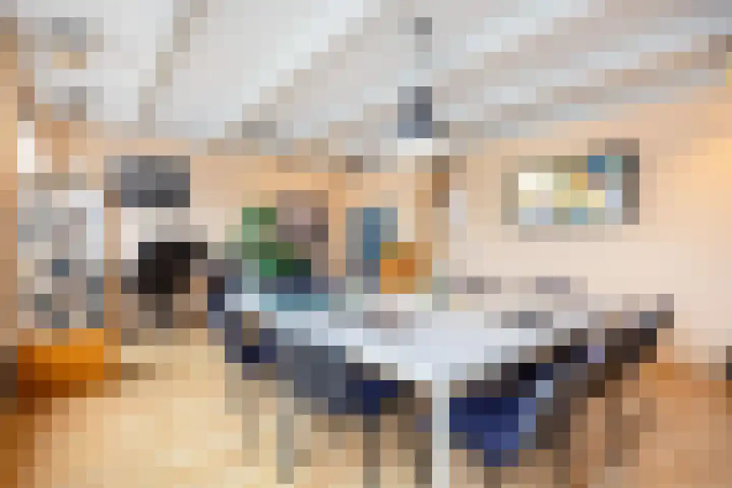 Zilverstraat 1 Franeker thumbnail 32