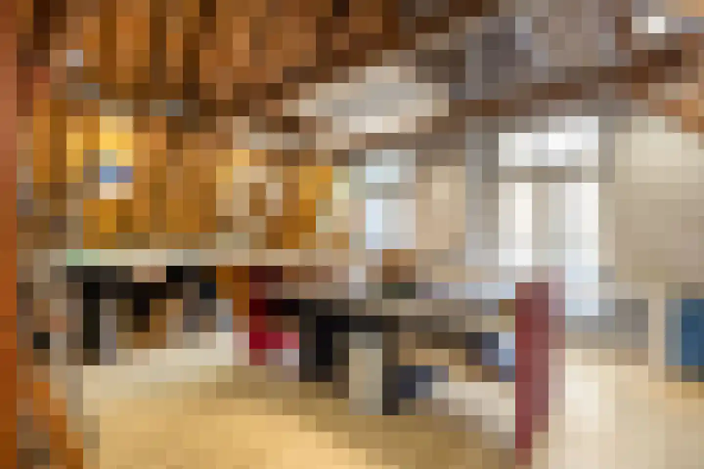 Zilverstraat 1 Franeker thumbnail 37