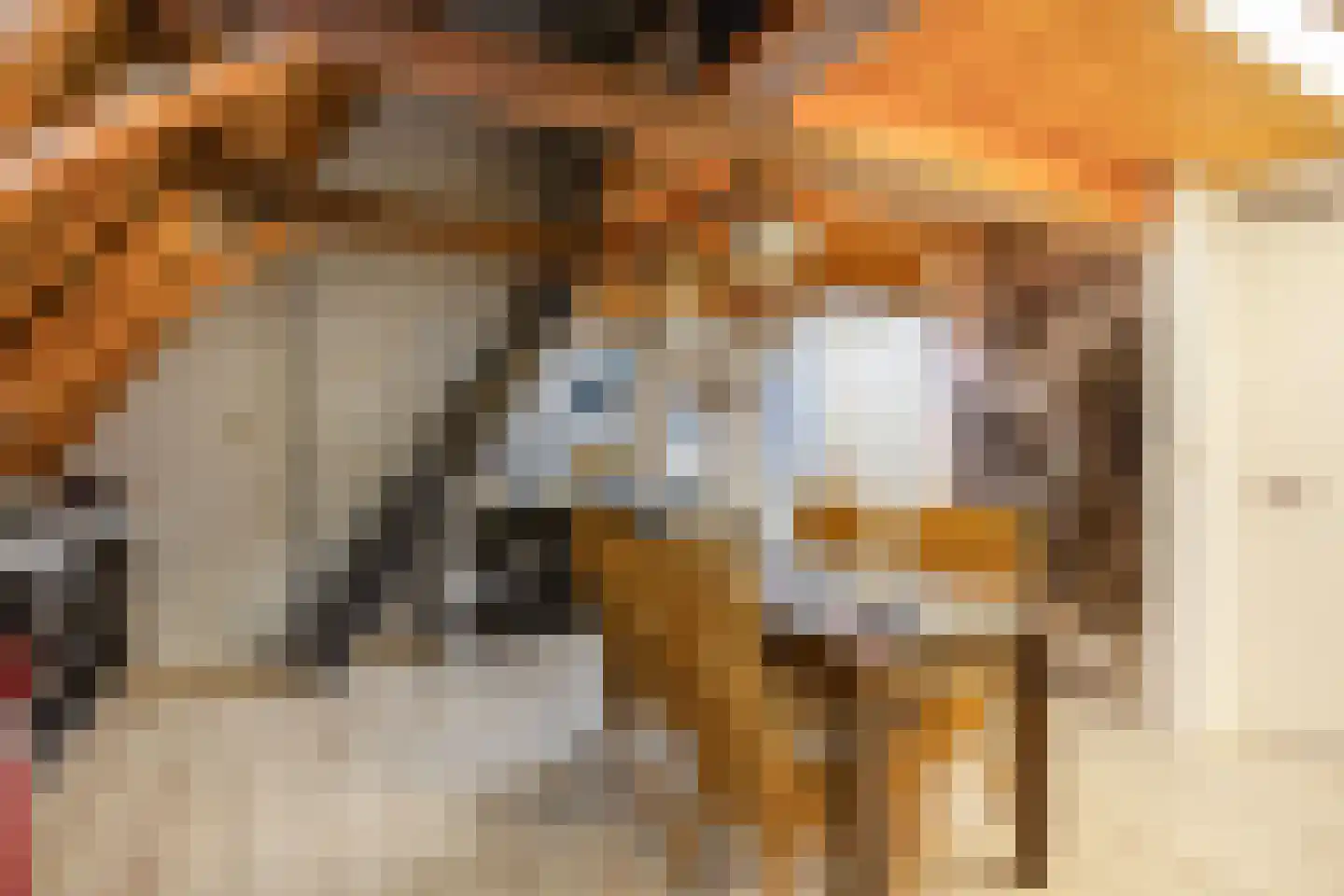 Zilverstraat 1 Franeker thumbnail 38