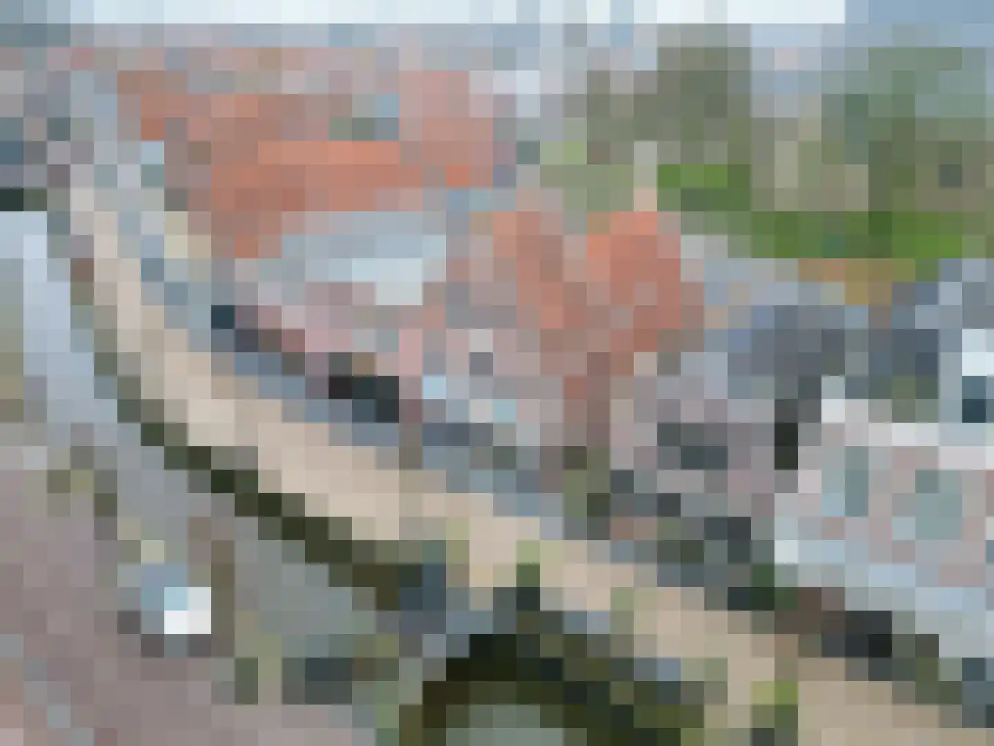Zilverstraat 1 Franeker thumbnail 8