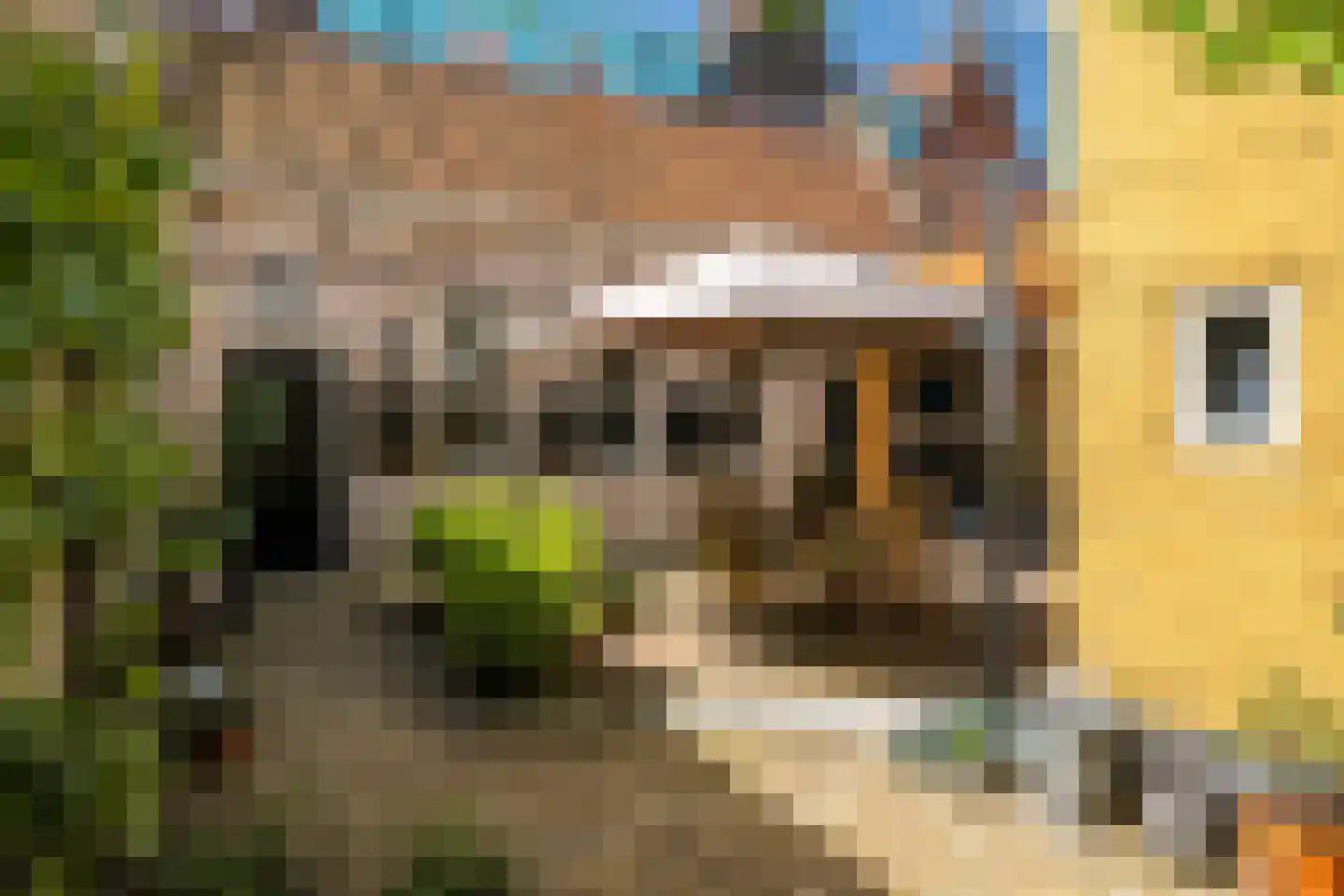 Zilverstraat 27 Franeker thumbnail 29