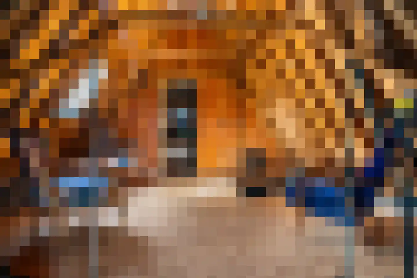 Zilverstraat 27 Franeker thumbnail 59