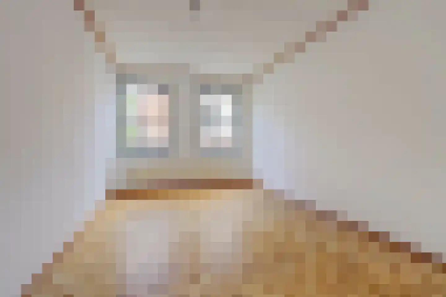 Zilverstraat 40 Utrecht thumbnail 21