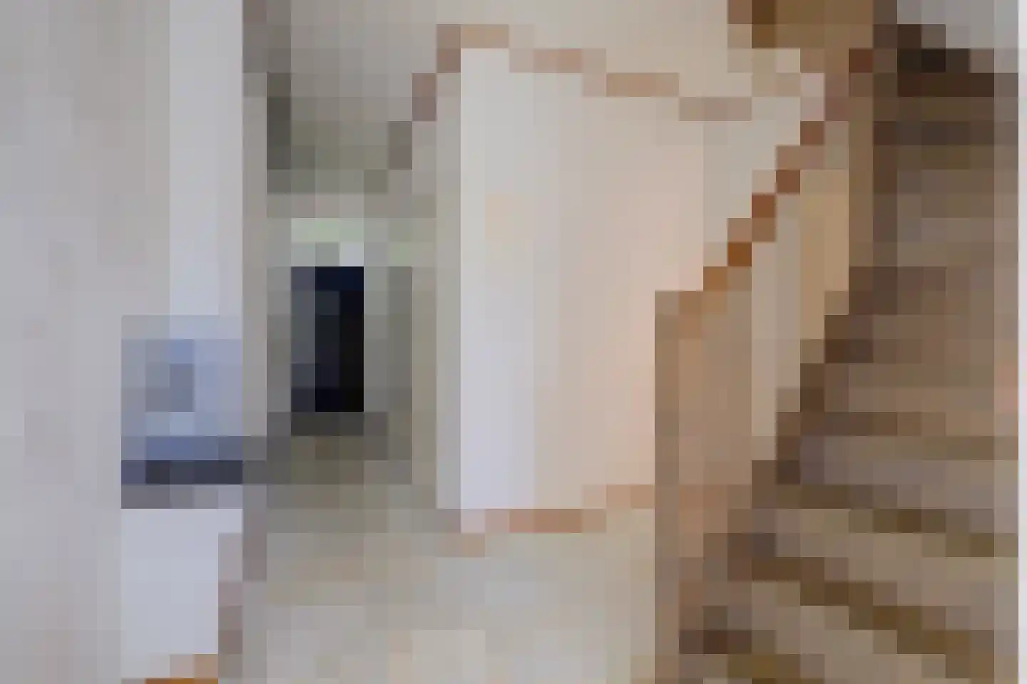 Zilverstraat 40 Utrecht thumbnail 7