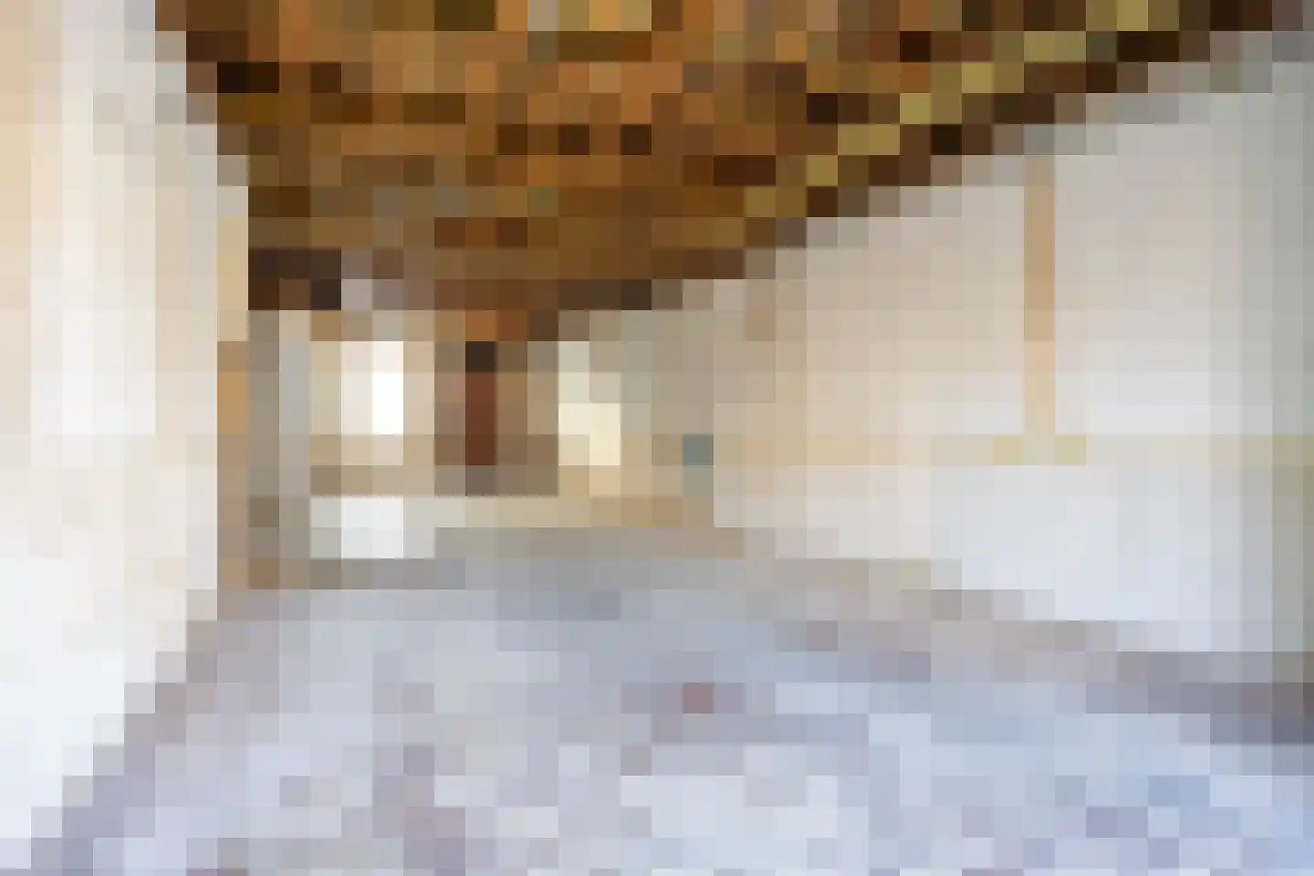 Zilverstraat 43 Franeker thumbnail 16