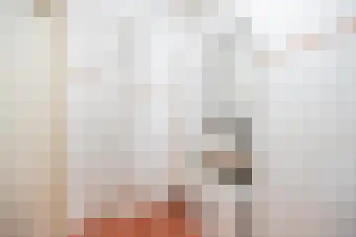 Zilverstraat 43 Franeker thumbnail 37