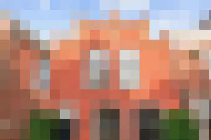 Zilverstraat 48 Franeker thumbnail 20
