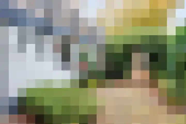 Zilverstraat 48 Franeker thumbnail 47