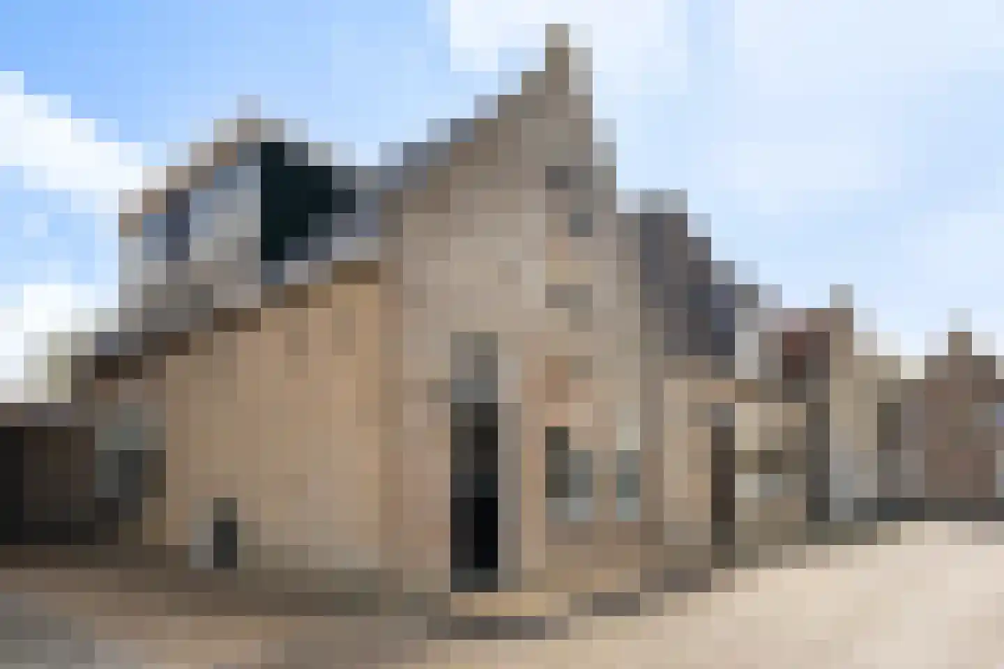 Zilverstreek 8 Arum thumbnail 10
