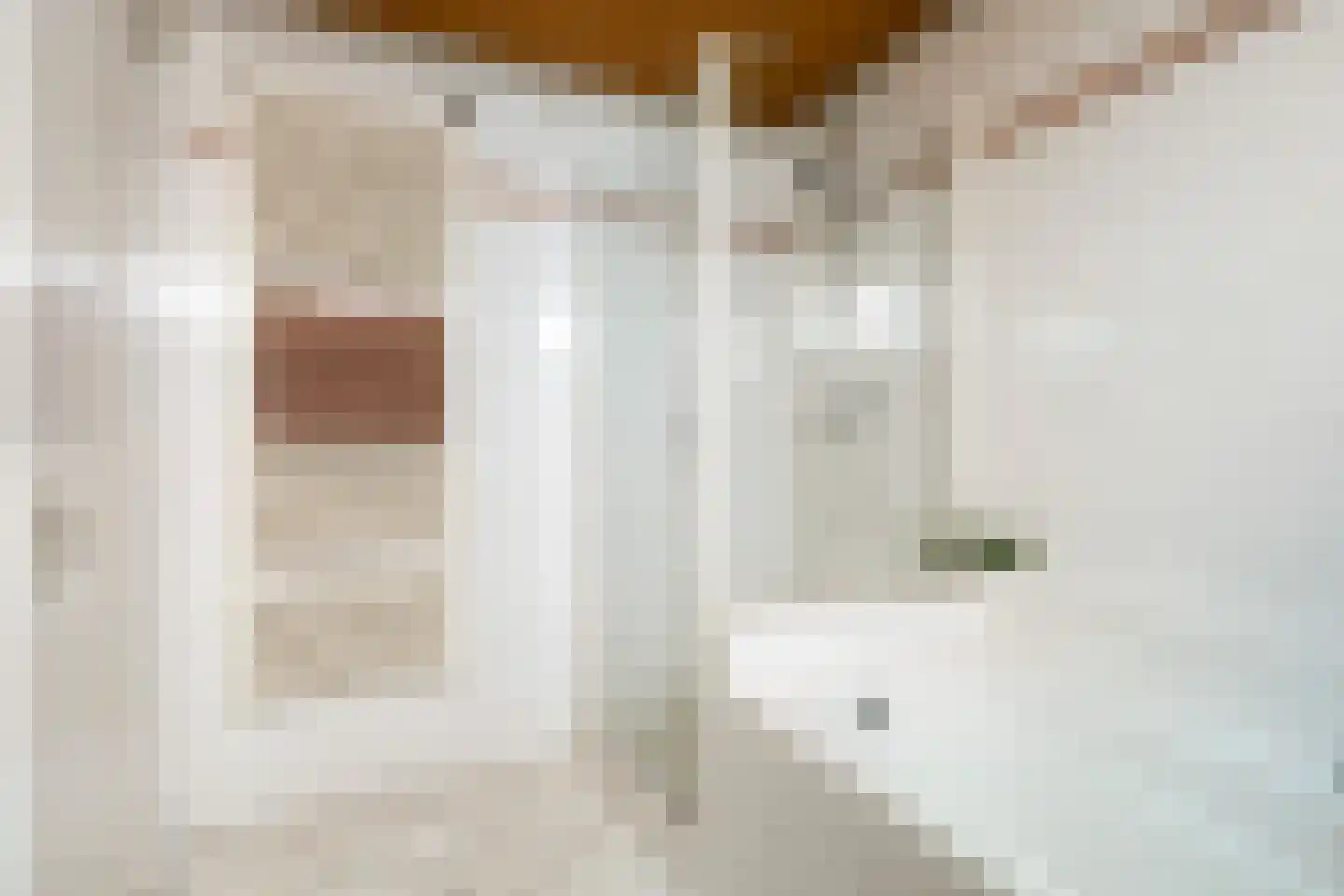 Zilverstreek 8 Arum thumbnail 26