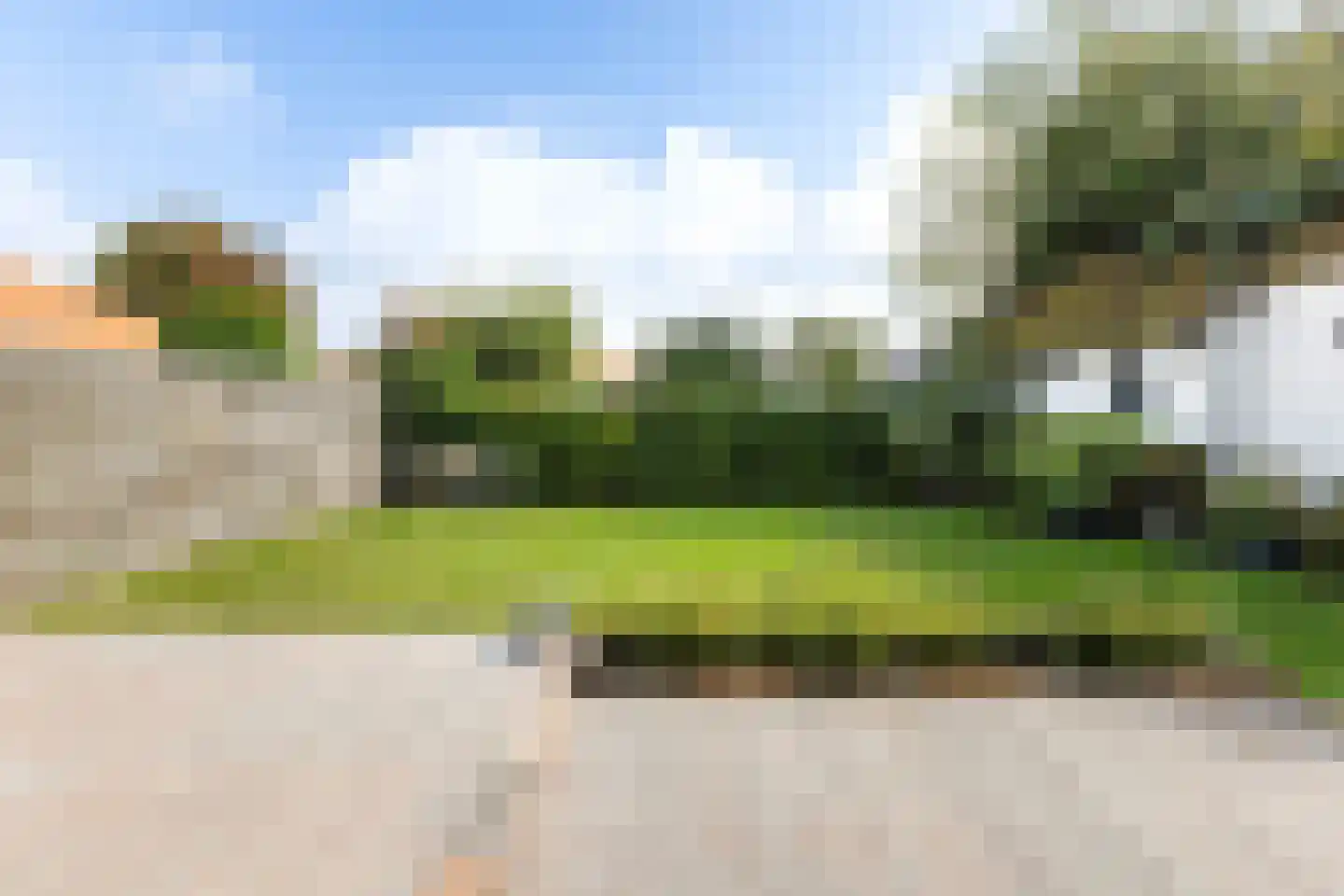 Zilverstreek 8 Arum thumbnail 29