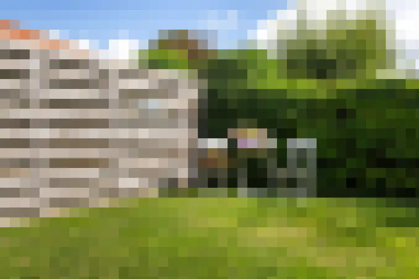 Zilverstreek 8 Arum thumbnail 29