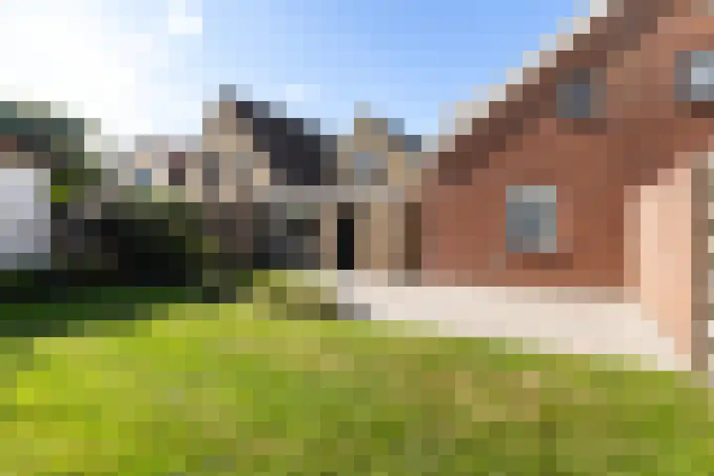 Zilverstreek 8 Arum thumbnail 30
