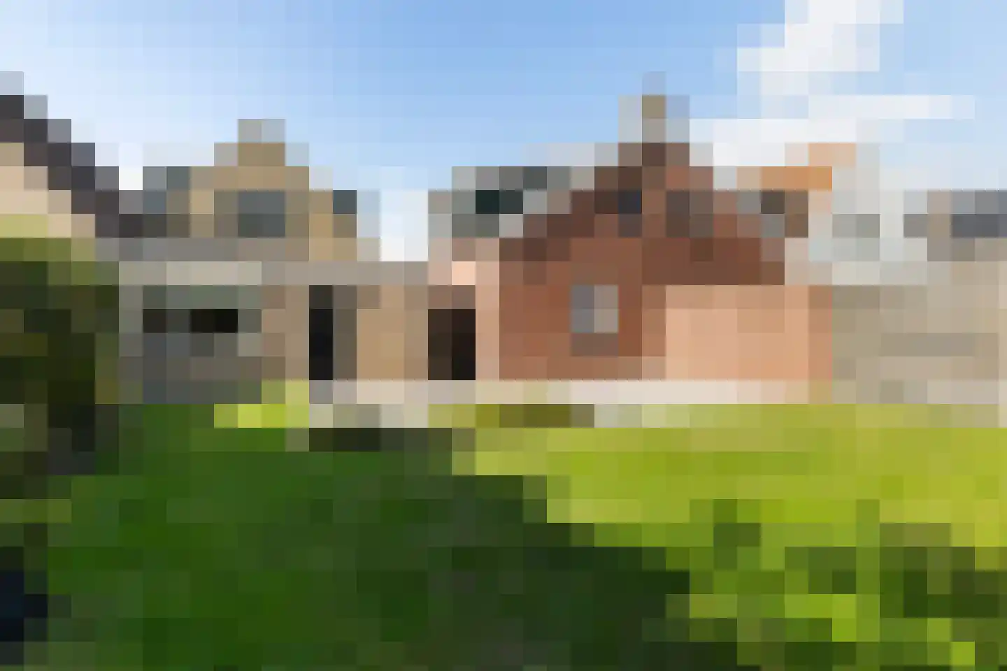 Zilverstreek 8 Arum thumbnail 31