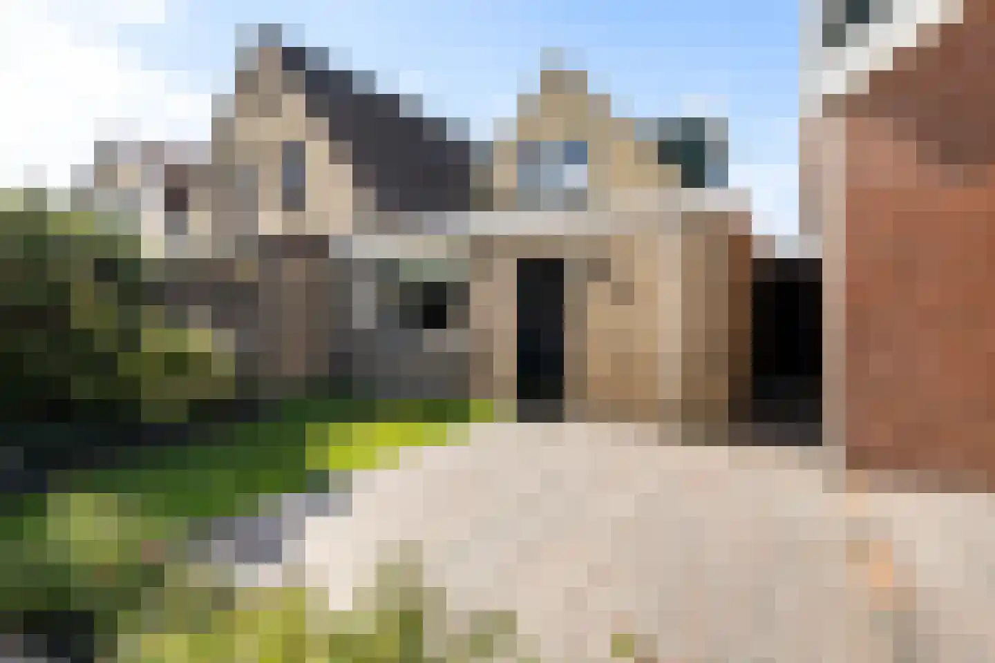 Zilverstreek 8 Arum thumbnail 32