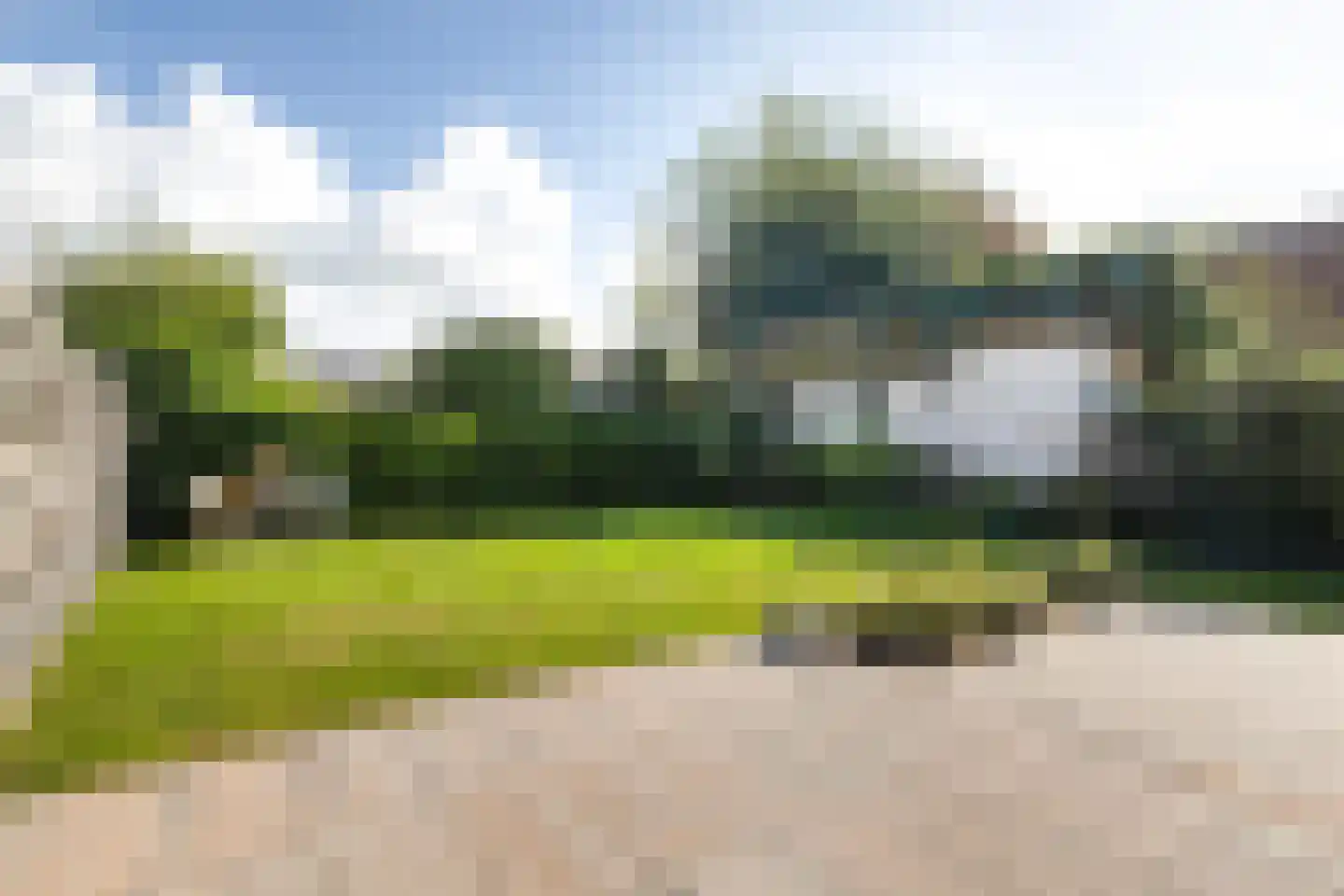 Zilverstreek 8 Arum thumbnail 4