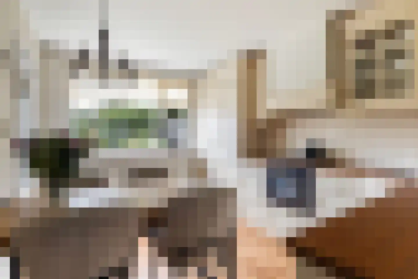 Zilverstreek 8 Arum thumbnail 4