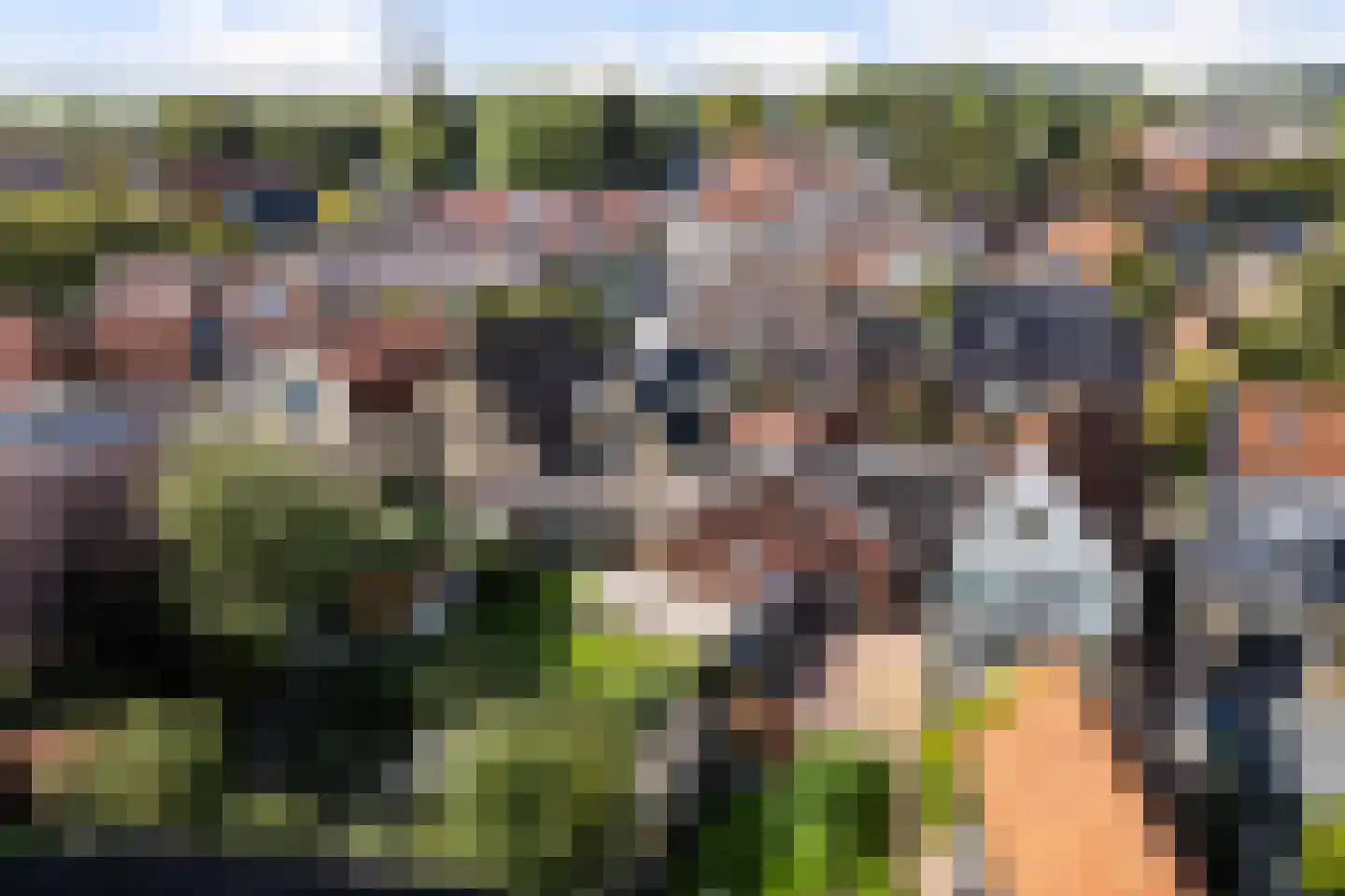 Zilverstreek 8 Arum thumbnail 44