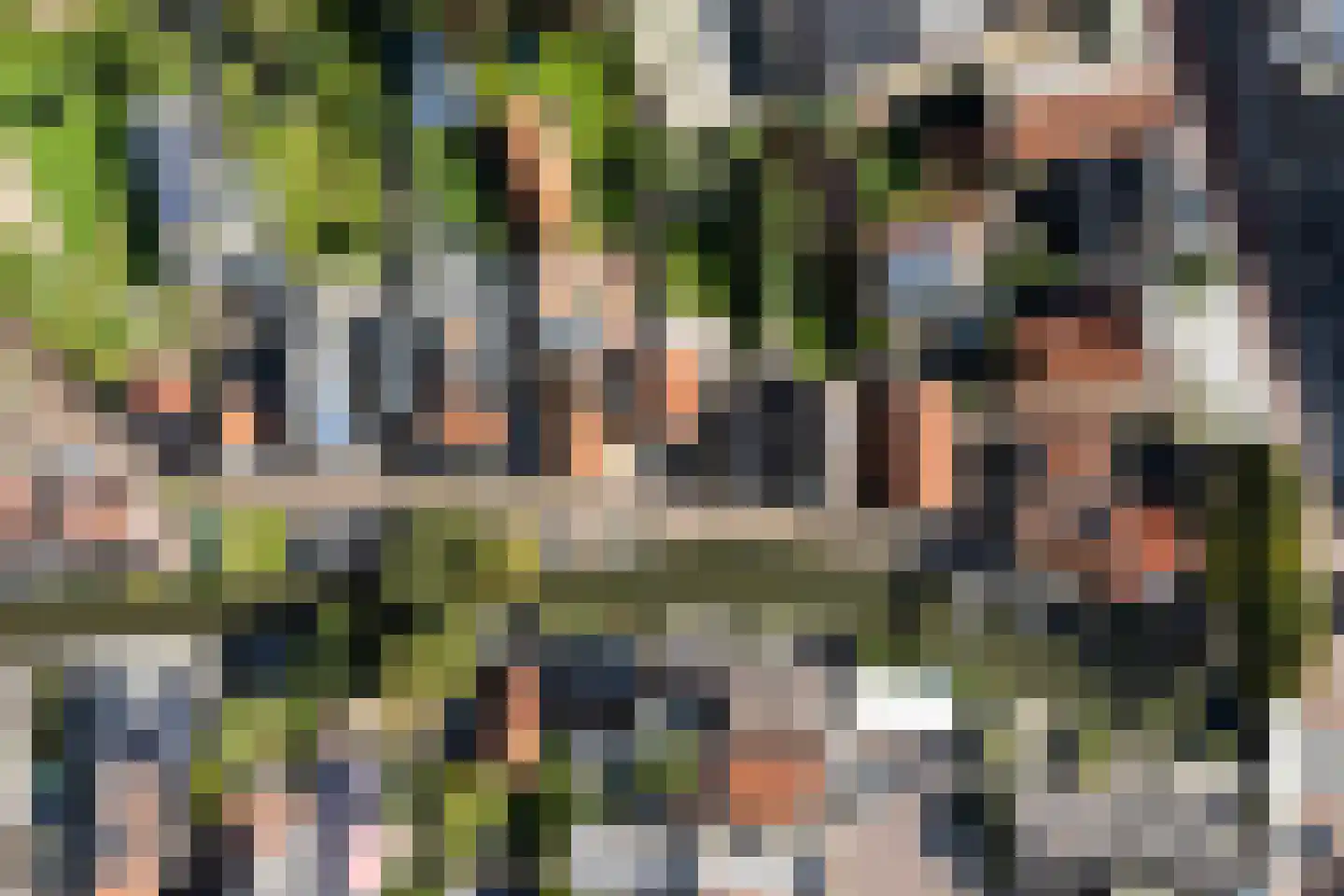 Zilverstreek 8 Arum thumbnail 45