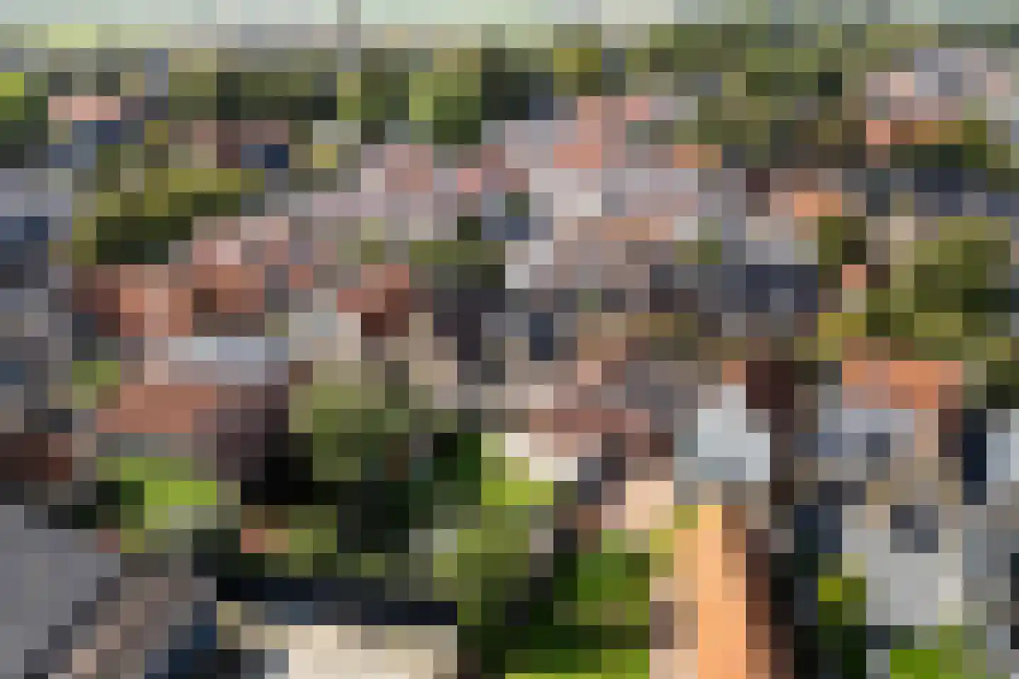 Zilverstreek 8 Arum thumbnail 45