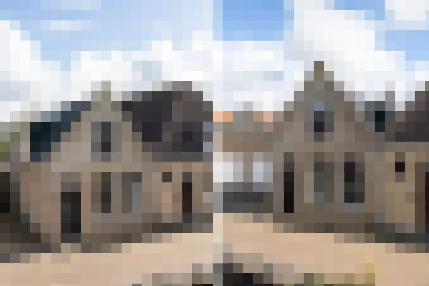 Zilverstreek 8 Arum thumbnail 6