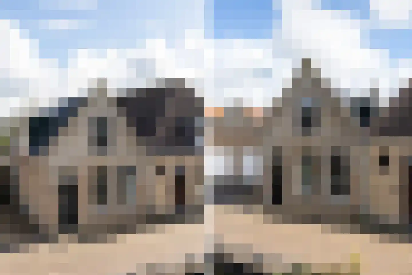 Zilverstreek 8 Arum thumbnail 7
