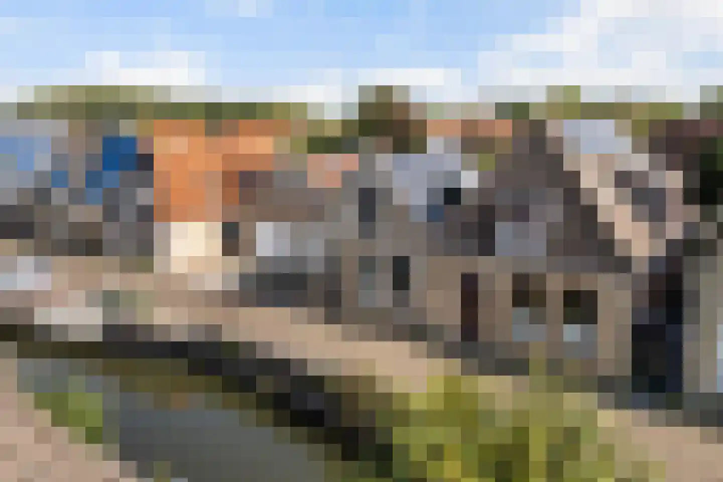 Zilverstreek 8 Arum thumbnail 7