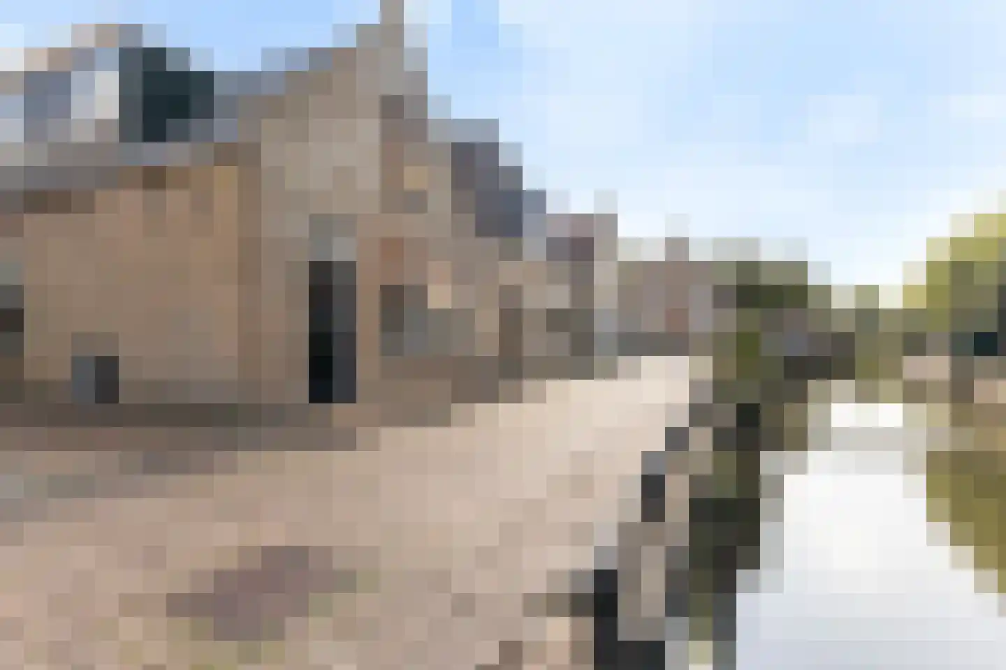 Zilverstreek 8 Arum thumbnail 9