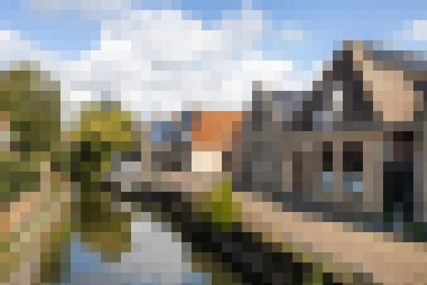 Zilverstreek 8 Arum thumbnail 9