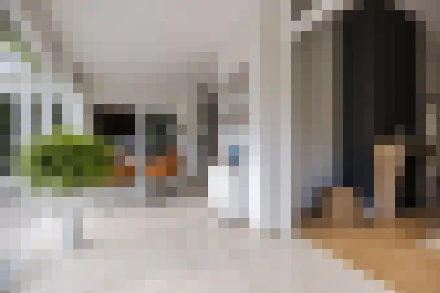 Zilvervlek 23 Breda thumbnail 17