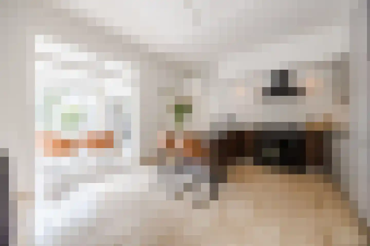 Zilvervlek 23 Breda thumbnail 19